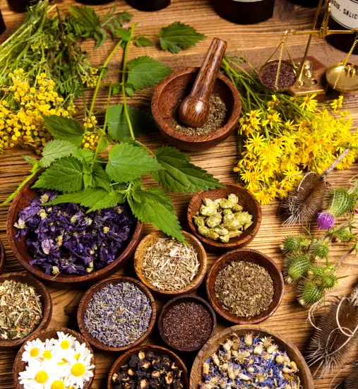 Natural Healing with Ayurveda
